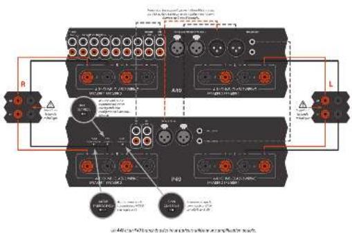 ARCAM FMJ P49 - Double cablage - 2