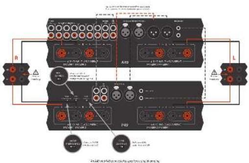 ARCAM FMJ P49 - Bi-wiring - 3