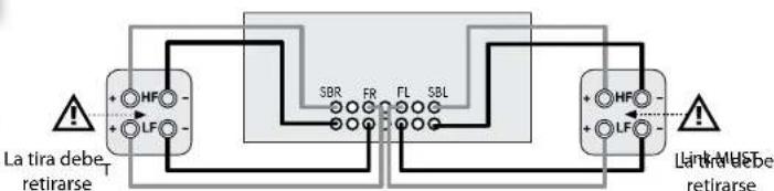 ARCAM FMJ AVR360 - Biamplificacion de los parlantes frontales izquierdo y decrecho - 1