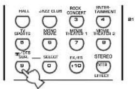 HALL JAZZ CLUB ROCK CONCERT ENTER-TAINMENT TV SPORTS MONO MOVE 3 4 MOVE THEATER 1 MOVE THEATER 2 5 6 7 8 DTS SELECT 9 0 10 STEREO INTER EFFECT