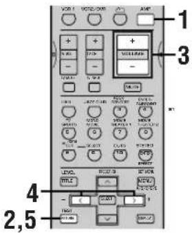 YAMAHA DSPAX630SE - Att använda testtonen - 2