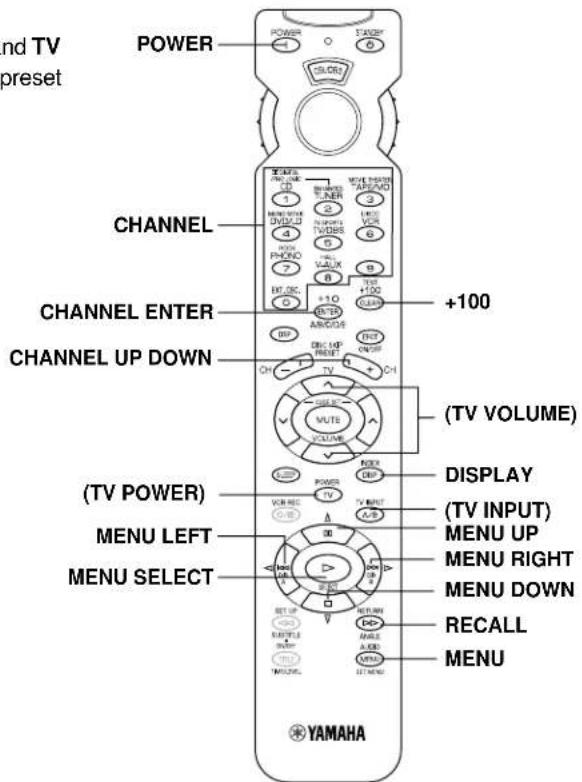 YAMAHA DSPA595 - CBL/DBS - 1
