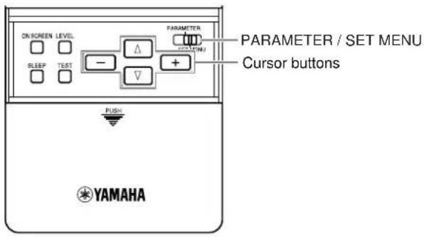 YAMAHA DSPAX2 - Operating the SET MENU - 1