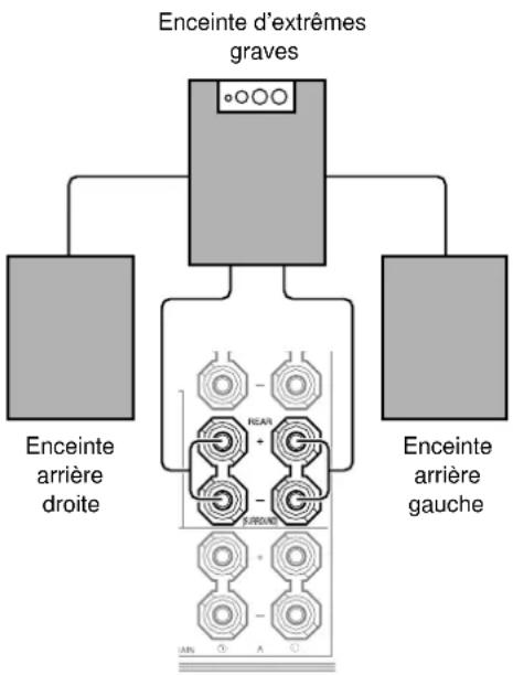 YAMAHA DSPAX2 - Raccordement de l'enceinte d'extrêmes graves - 2
