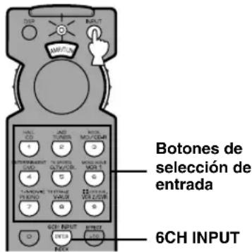 BOTONE DE SELECCIÓN DE ENTRADA 6CH INPUT