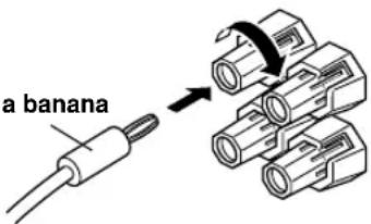 a banana