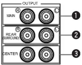 YAMAHA DSPAX620 - Observera - 1