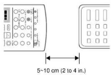 5~10 cm (2 to 4 in.)