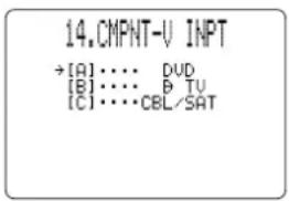 YAMAHA DSPAX1 - CMPNT-V INPUT (Komponenten-Videoeingang) - 1