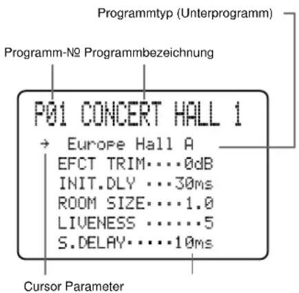 YAMAHA DSPAX1 - Änderung der Parametereinstellungen - 2