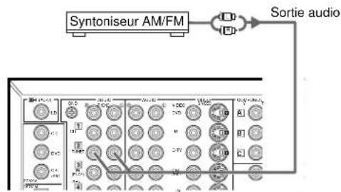 Syntoniseur AM/FM Sortie audio