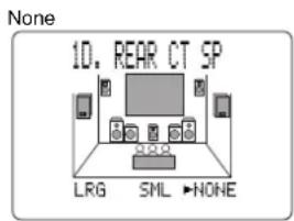 None 10. REAR CT SP LRG SML NONE