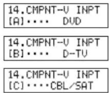 YAMAHA DSPAX1 - CMPNT-V INPUT (Komponenten-Videoeingang) - 2