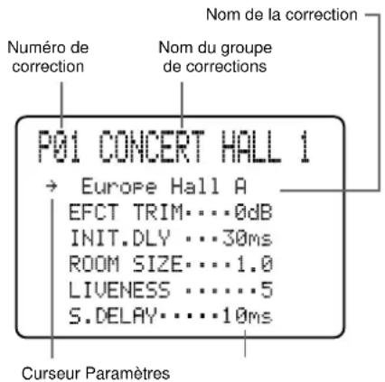 Numéro de correction Nom du groupe de corrections P01 CONCERT HALL 1 → Europe Hall A EFCT TRIM...0dB INIT.DLY ...30ms ROOM SIZE...1.0 LIVENESS ...5 S.DELAY...10ms Curseur Paramètres
