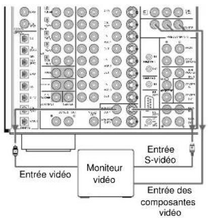 Entrée vidéo Moniteur vidéo Entrée S-video Entrée des composantes vidéo