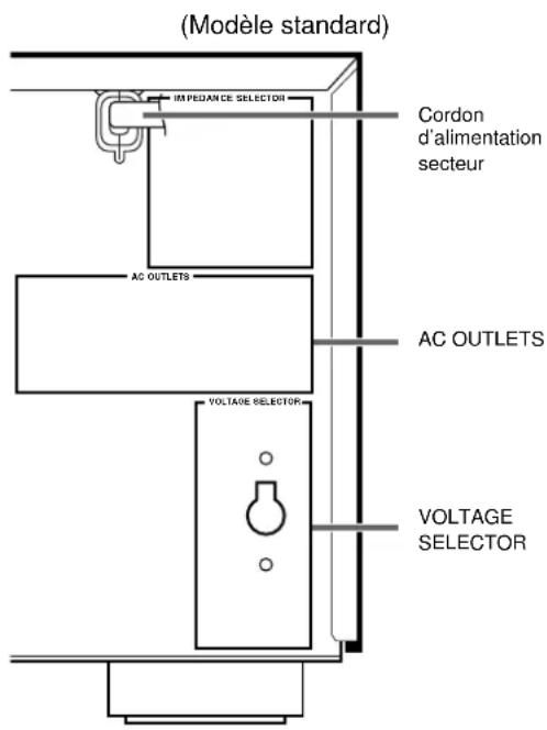 (Modèle standard) IMPEDANCE SELECTOR Cordon d'alimentation secteur AC OUTLETS AC OUTLETS VOLTAGE SELECTOR VOLTAGE SELECTOR