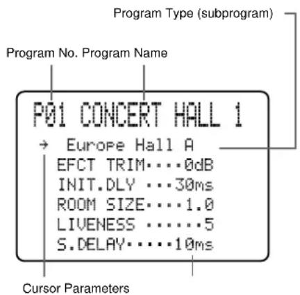 Program Type (subprogram) Program No. Program Name P01 CONCERT HALL 1 → Europe Hall A EFCT TRIM...0dB INIT.DLY...30ms ROOM SIZE...1.0 LIVENESS...5 S.DELAY...10ms Cursor Parameters