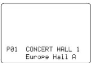 P01 CONCERT HALL 1 Europe Hall A