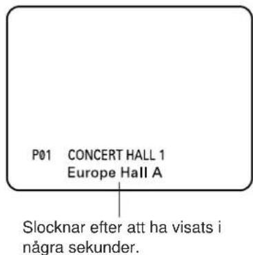 YAMAHA DSPA2 - P01 CONCERT HALL 1 - 1