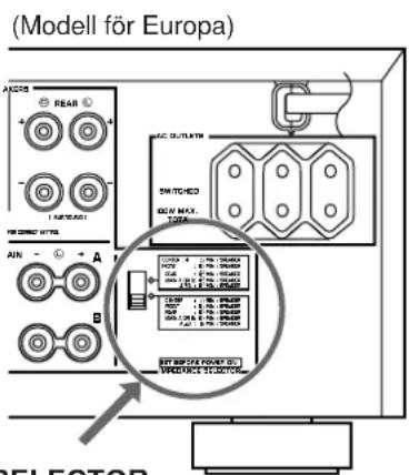 YAMAHA DSPA2 - OM ENHETEN INTE SLAS PÄ NÄR STANDBY/ON-OMKOPPLAREN TRYCKS IN: - 1
