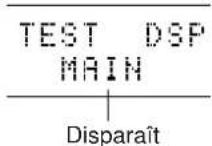 YAMAHA DSPA2 - Passer sur le mode d'essay en appuyant sur la touche TEST de la télécommande de façon à ce que l'indication "TEST DOLBY SUR." apparaisse à l'affichage. - 14