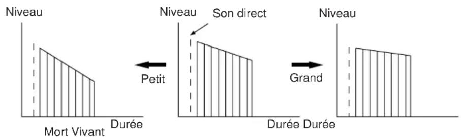 YAMAHA DSPA2 - LIVENESS (vivacité du champ sonore surround) - 1