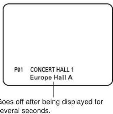 YAMAHA DSPA2 - P01 CONCERT HALL 1 - 1