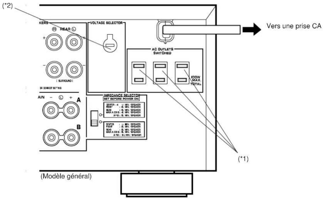 YAMAHA DSPA2 - Branchement de cet apparéil - 1