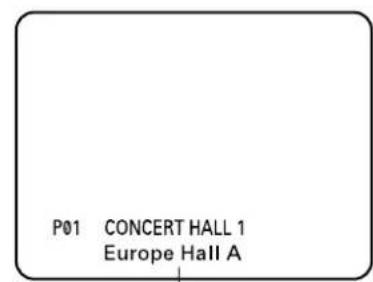 YAMAHA DSPA2 - P01 CONCERT HALL 1 - 1