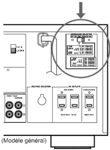 VOLTAGE SELECTOR AC OUTLETS RANTERS UWNTERS DCW MAX. TOTAL DCW MAX. (Modèle général)