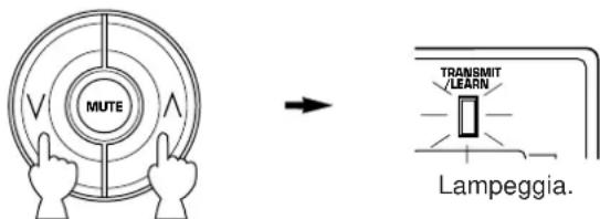 MUTE → TRANSMIT LEARN Lampeggia.