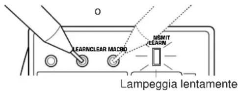 LEARNCLEAR MACRO NSMIT LEARN Lampeggia lentamente