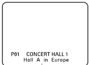 P01 CONCERT HALL 1 Hall A in Europe
