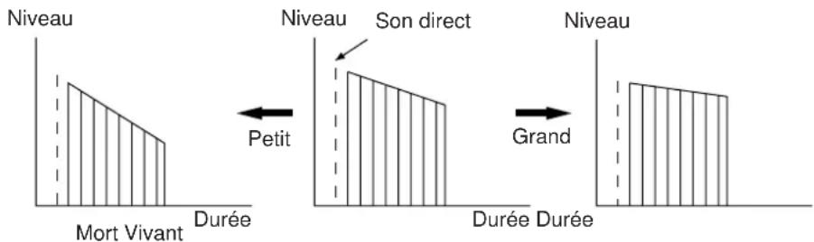 Niveau Mort Vivant Durée Niveau Son direct Petit Grand Durée Durée Niveau