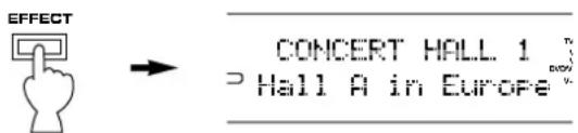 EFFECT CONCERT HALL 1 Hall A in Europe