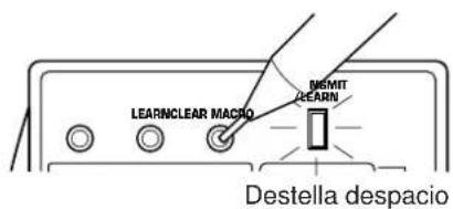 LEARNCLEAR MACIO DEMIT LEARN Destella despacio