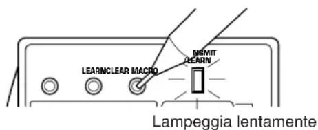 LEARNCLEAR MACNO NEMIT CLEAR Lampeggia lentamente