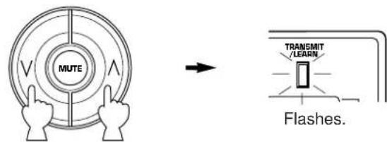 MUTE TRANSMIT /LEARN Flashes.