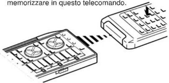 memonzzare in questo telecomo.