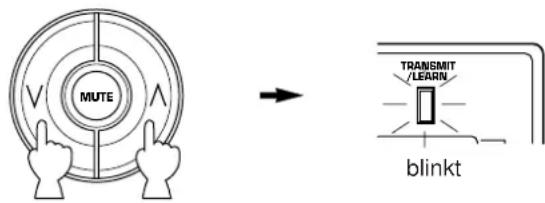MUTE TRANSMIT /LEARN blinkt