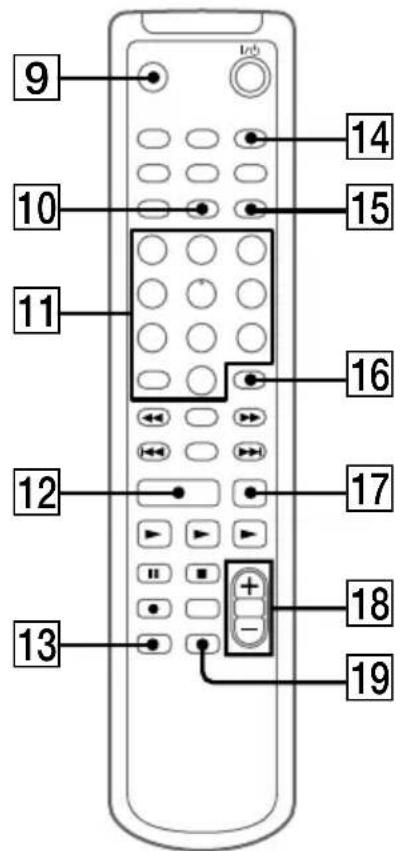 SONY DHCMD595 - Taste TIME MACHINE REC - 1