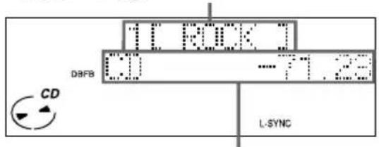 SONY DHCMD595 - Verwendung des Displays - 2