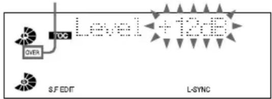 SONY DHCMD595 - Drücken Sie – oder + mehrmals, um den Aufnahmepegel zu ändern. - 1