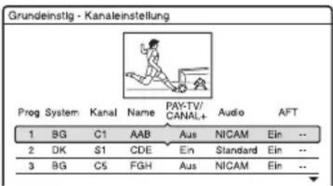 SONY DARX1 - Einstellen von analogen PAY-TV/Canal Plus-Programmpositionen - 6