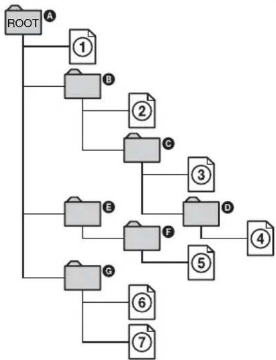 SONY DARX1 - Struttura del contenuto del disco - 1