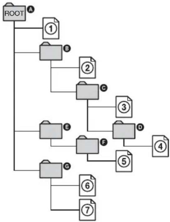 SONY DARX1 - Structure du contenu du disque - 1