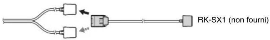 SONY DARX1 - Conseil - 1