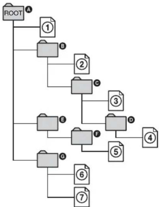 SONY DARX1 - Structuur van de discinhoud - 1