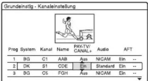 SONY DARX1 - Einstellen von analogen PAY-TV/Canal Plus-Programmpositionen - 10