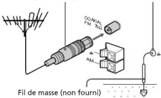 SONY LBTXB66 - Sur le modèle européen - 1